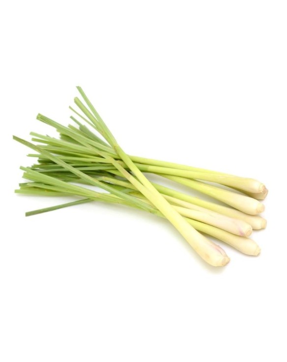Citronella/Lemongrass Fresco 100g