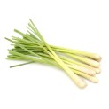 Citronella/Lemongrass Fresco 100g