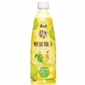Bebida de pomelo con miel (MAESTRO KANG) 500ml