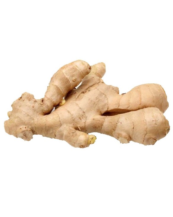 Jengibre Fresco 150g