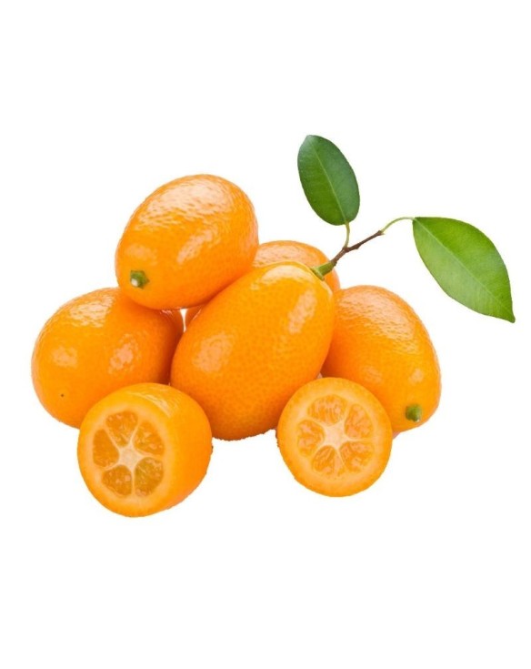 Kumquat Fresco 100g