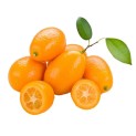 Kumquat Fresco 100g