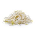 Brotes de soja fresca (TUGAS) 200g