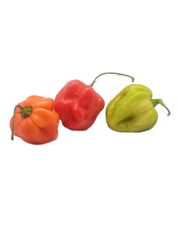 Chile Habanero 150g