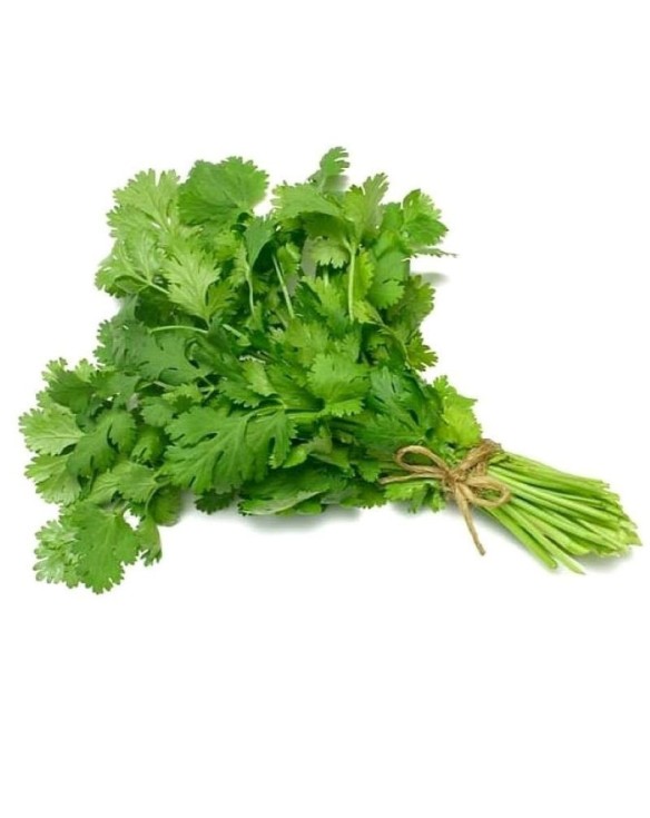 Cilantro Fresco 100g
