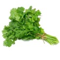 Cilantro Fresco 100g