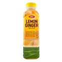 Bebida aloe vera s/limon y jengibre (OKF) 500ml