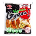Gyozas Ajinomoto de Verduras 30uds.