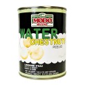 Castaña de Agua Modo 567g