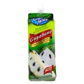 Bebida Cool Taste de Guanábano 500ml