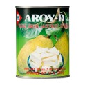Jackfruit Aroy-D Verde 565g
