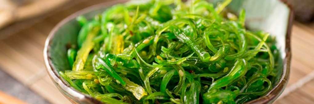 Comprar algas chinas, japonesas, coreanas, ... Algas marinas comestibles