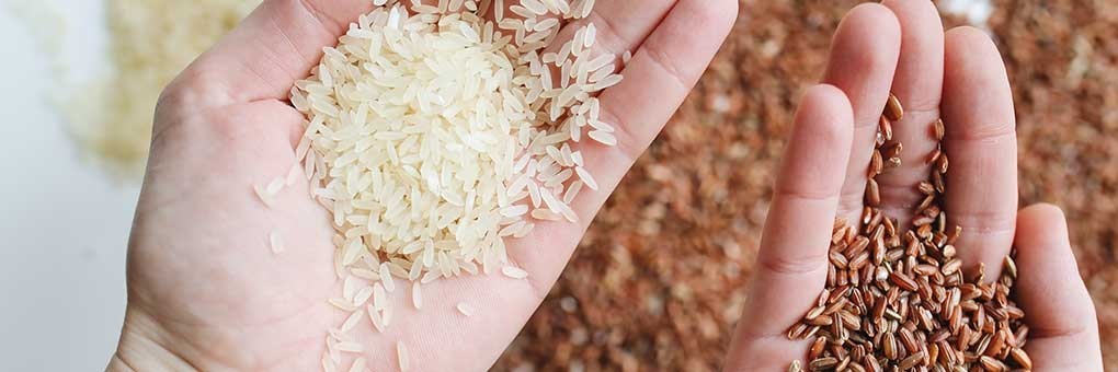 Comprar arroces orientales y derivados