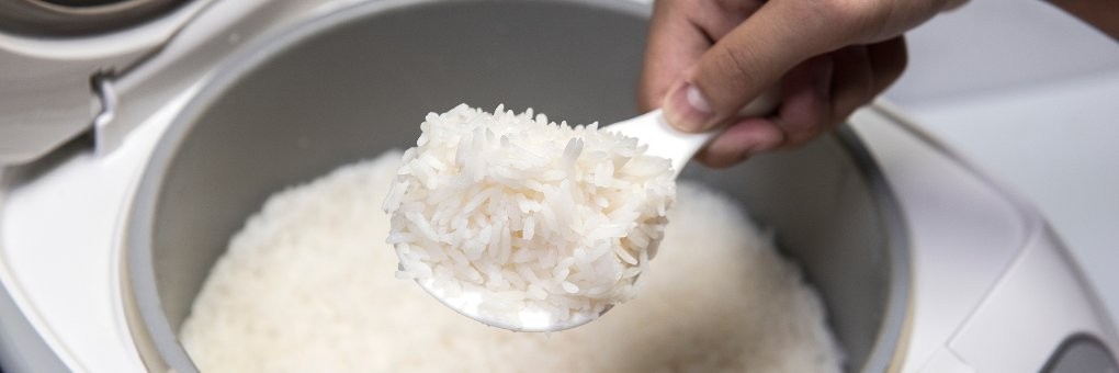 Arroceras eléctricas