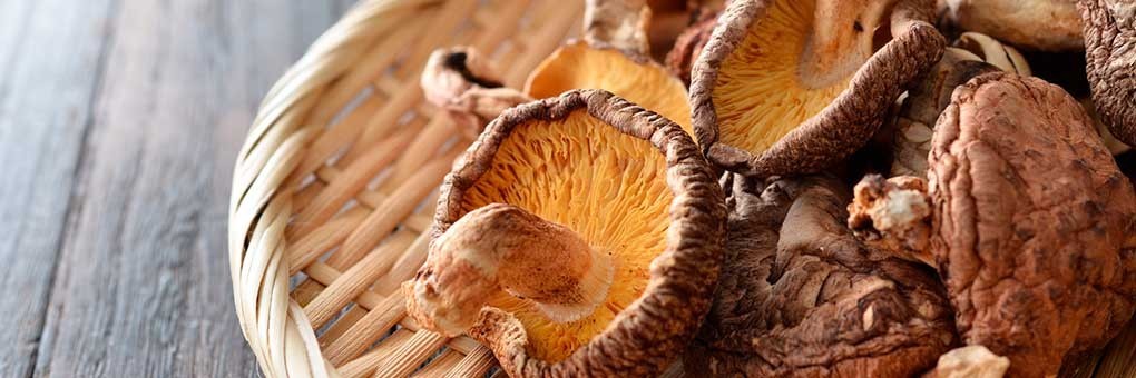 Setas y Verduras Secas